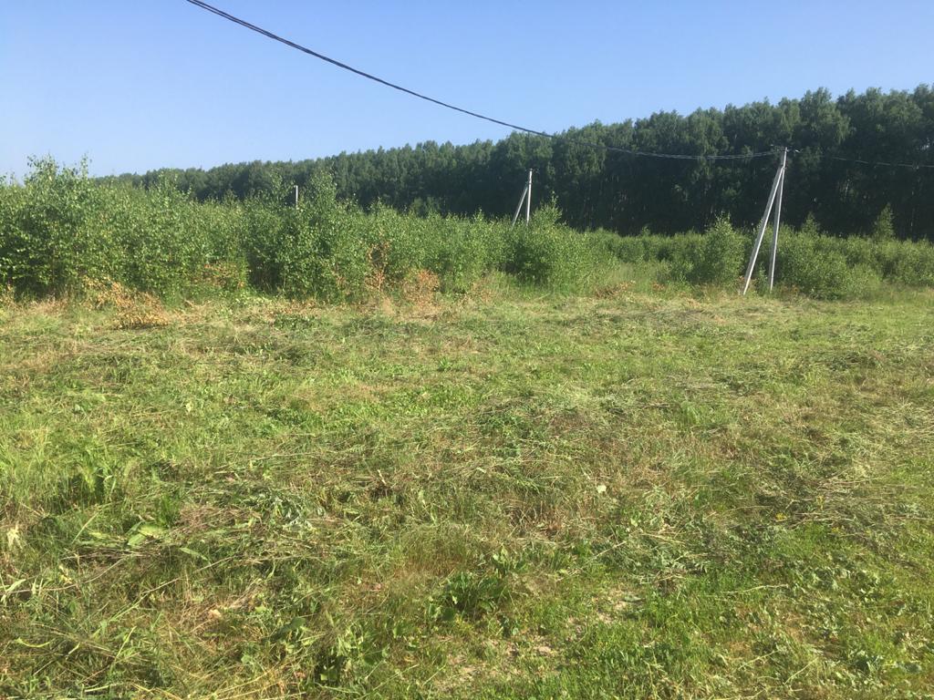 Участки в богородском районе. Деревня Шопово Богородский район. Деревня Шопово Богородский. Продажа ИЖС Богородский район д Шопово.. Авито Богородский район д Шопово, улица вишнёвая купить участок.