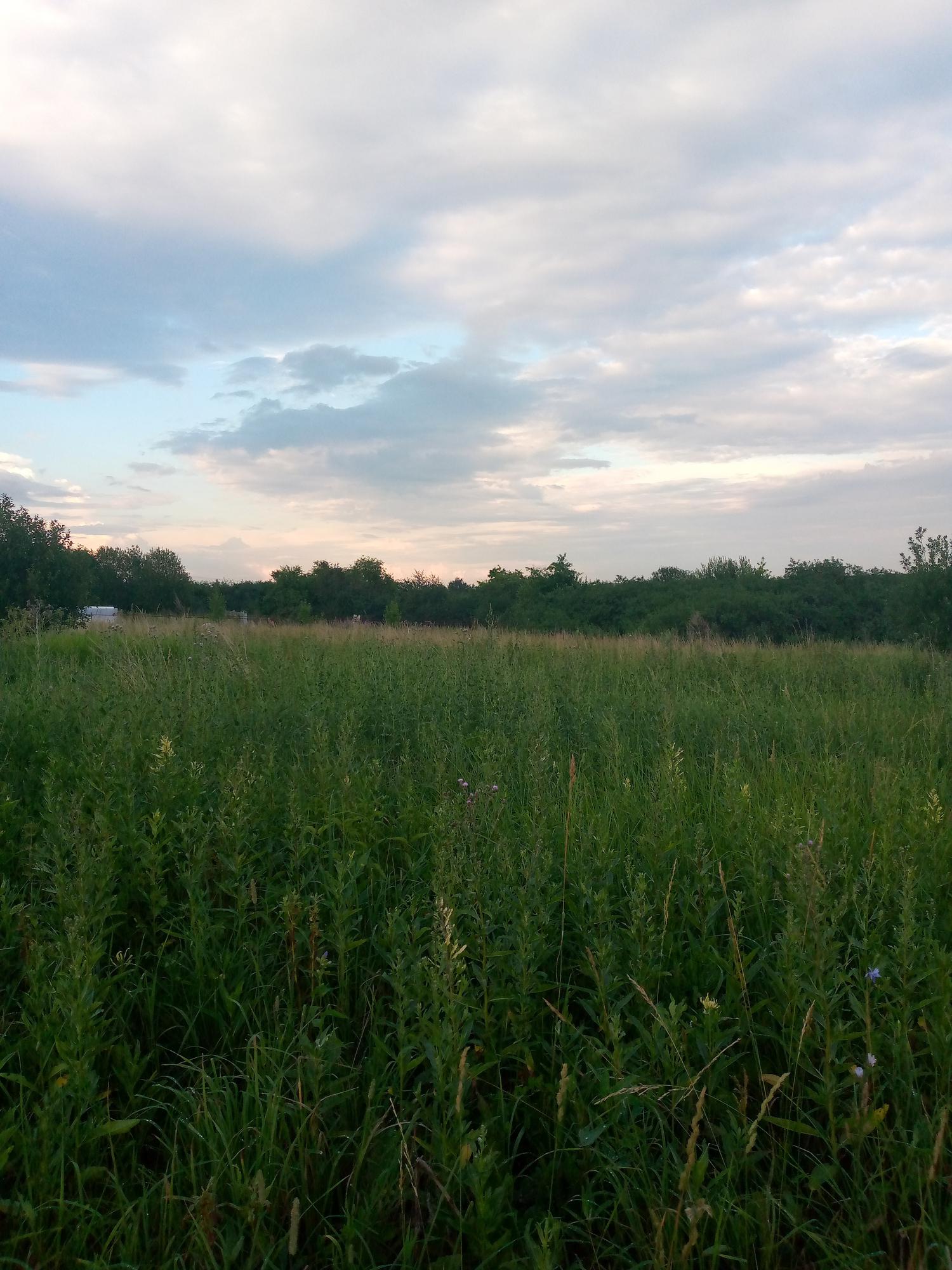 Купить Участок В Богородске Нижегородской